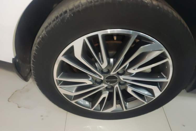 Used FORTHING Yacht 2022 1.5T DCT Chasing-the-Waves Edition Exterior 2