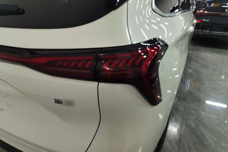 Used FORTHING Yacht 2022 1.5T DCT Chasing-the-Waves Edition Exterior 6