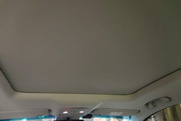 Used FORTHING Yacht 2022 1.5T DCT Chasing-the-Waves Edition Headliner