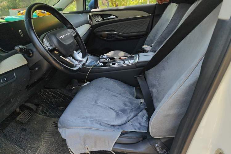 Used FORTHING Yacht 2022 1.5T DCT Chasing Wind Edition Left Front Seat