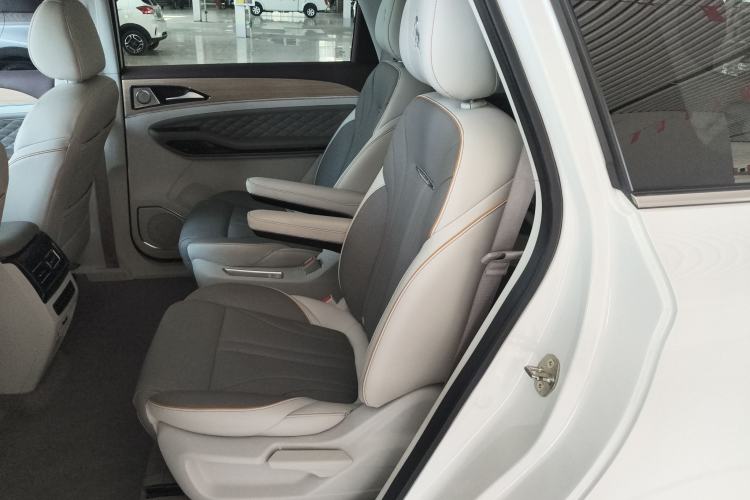Used FORTHING Yacht 2022 1.5T DCT Yangfan Edition Left Rear Seat