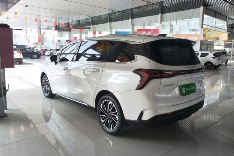 Used FORTHING Yacht 2022 1.5T DCT Yangfan Edition Rear Left 45 Deg