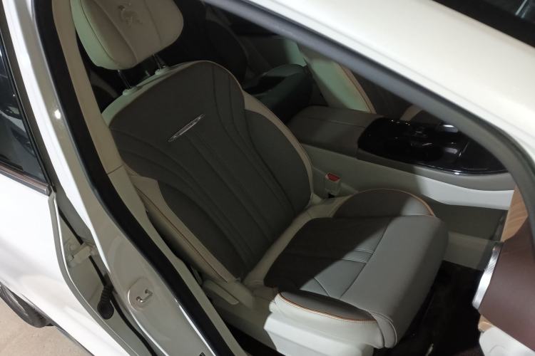 Used FORTHING Yacht 2022 1.5T DCT Chasing Wind Edition Right Front Seat