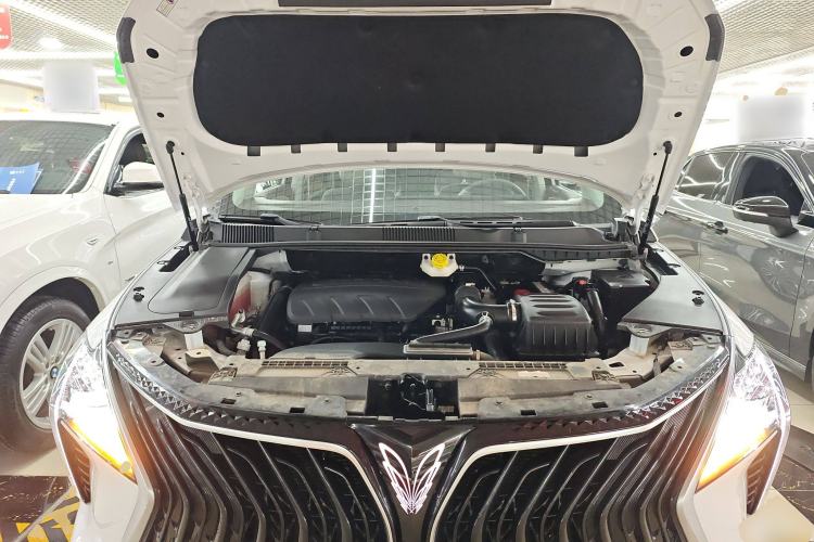 Used FORTHING Yacht 2023 1.5T DCT Starry Luxury Edition Engine Bay