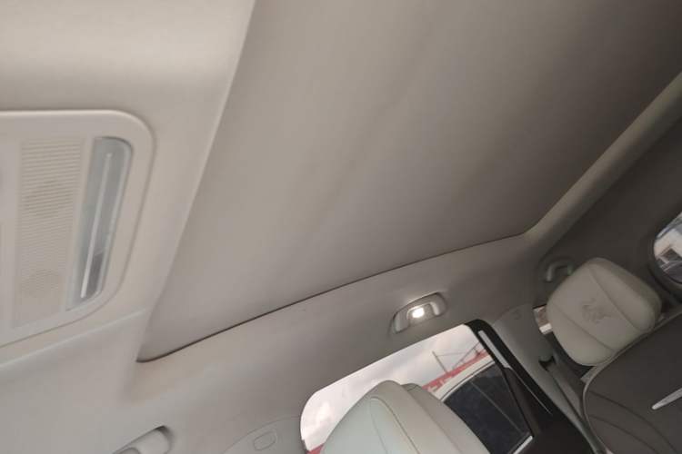 Used FORTHING Yacht 2023 Model 1.5T DCT Chasing-the-Waves Version Headliner