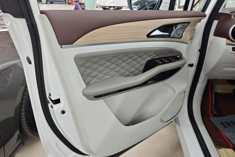 Used FORTHING Yacht 2023 1.5T DCT Starry Luxury Edition Left Front Door Interior