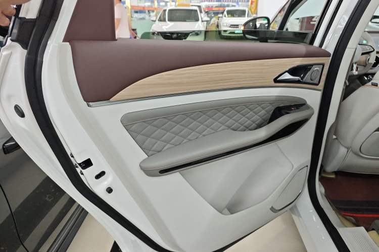 Used FORTHING Yacht 2023 1.5T DCT Starry Luxury Edition Left Rear Door Interior