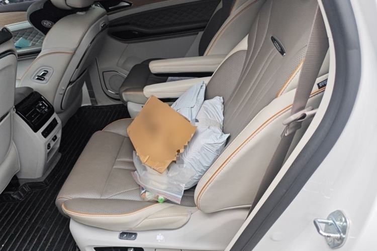 Used FORTHING Yacht 2023 1.5T DCT Starry Luxury Edition Left Rear Seat