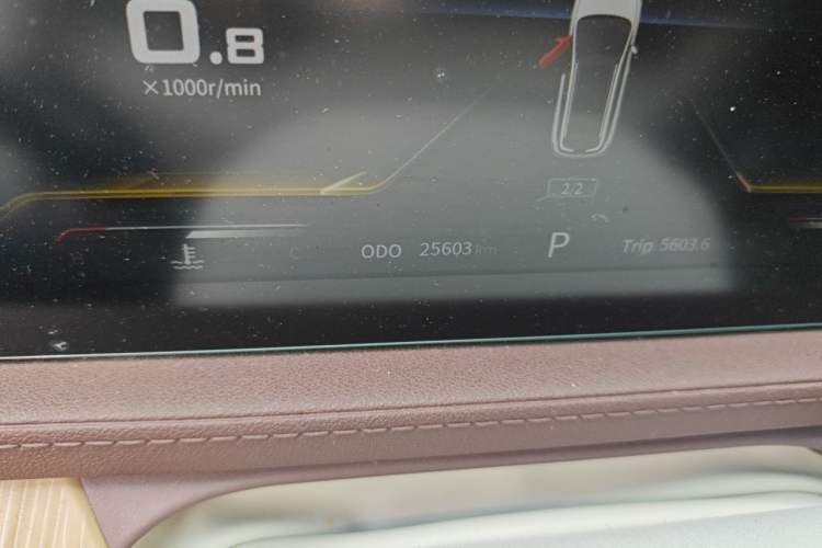 Used FORTHING Yacht 2023 1.5T DCT Starry Luxury Edition Odometer Close Up