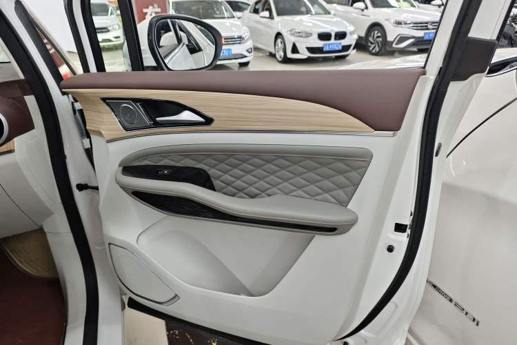 Used FORTHING Yacht 2023 1.5T DCT Starry Luxury Edition Right Front Door Interior