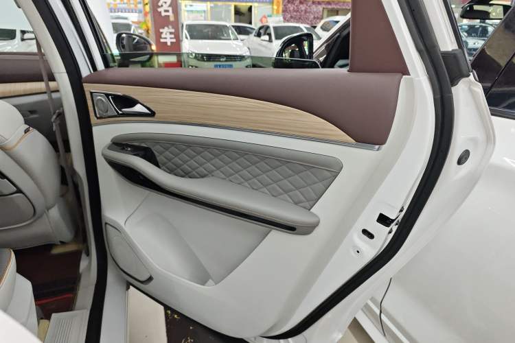 Used FORTHING Yacht 2023 1.5T DCT Starry Luxury Edition Right Rear Door Interior