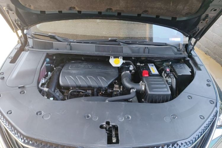 Used FORTHING Yacht 2024 1.5T DCT Guanhai Edition Engine Bay