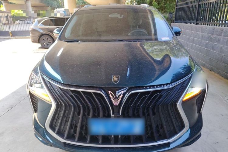 Used FORTHING Yacht 2024 1.5T DCT Guanhai Edition Front