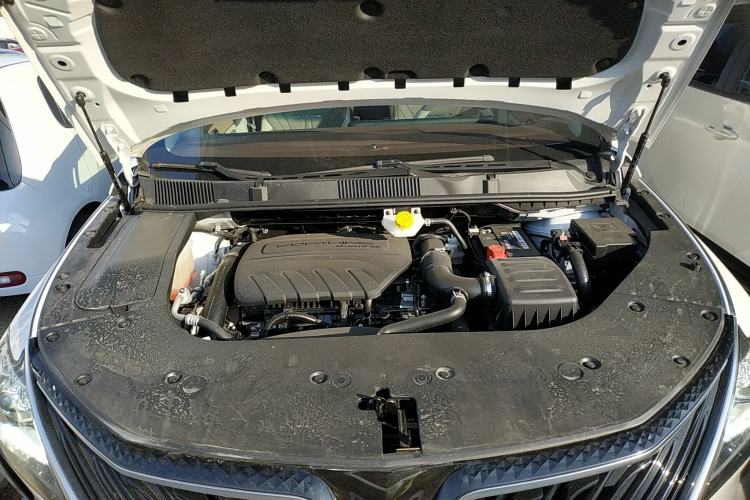 Used FORTHING Yacht 2024 1.5T DCT Guanhai Edition Engine Bay