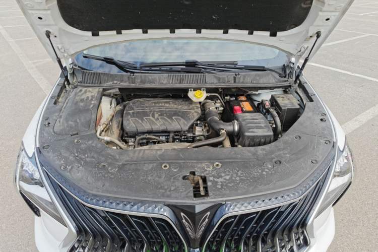 Used FORTHING Yacht 2024 1.5T DCT Guanhai Edition Engine Bay