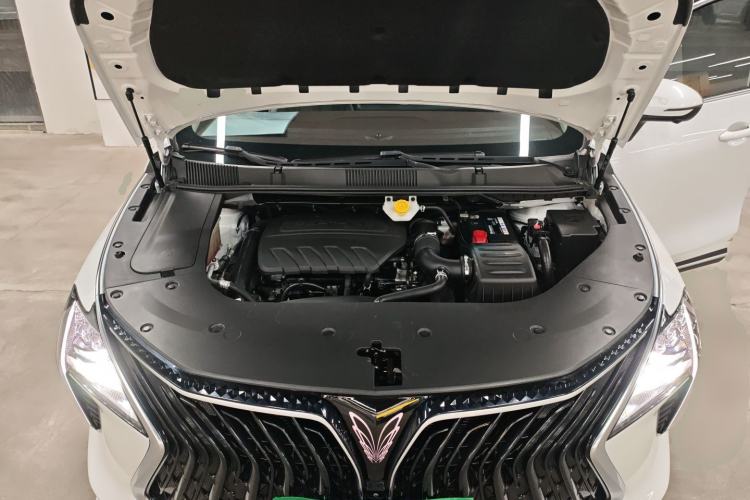 Used FORTHING Yacht 2024 1.5T DCT Guanhai Edition Engine Bay