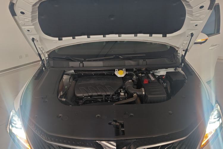 Used FORTHING Yacht 2024 1.5T DCT Guanhai Edition Engine Bay