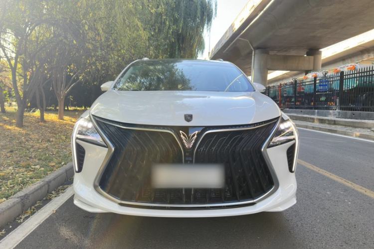 Used FORTHING Yacht 2024 1.5T DCT Guanhai Edition Exterior 9