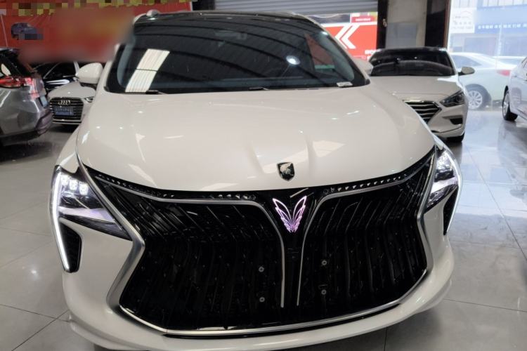Used FORTHING Yacht 2024 1.5T DCT Guanhai Edition Front