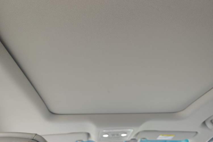 Used FORTHING Yacht 2024 1.5T DCT Guanhai Edition Headliner