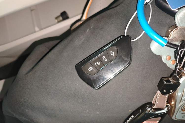 Used FORTHING Yacht 2024 1.5T DCT Guanhai Edition Interior 1