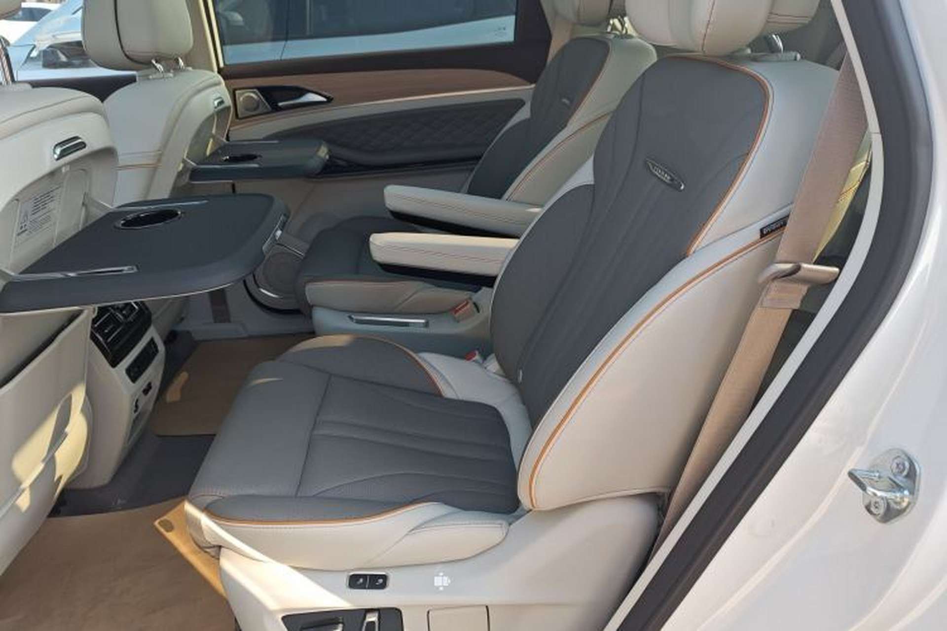 Used FORTHING Yacht 2024 1.5T DCT Guanhai Edition Left Rear Seat
