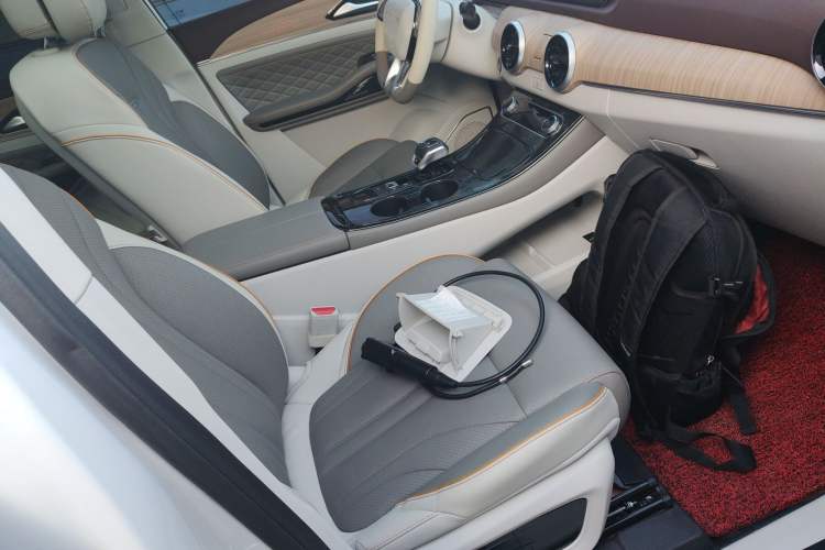 Used FORTHING Yacht 2024 1.5T DCT Guanhai Edition Right Front Seat