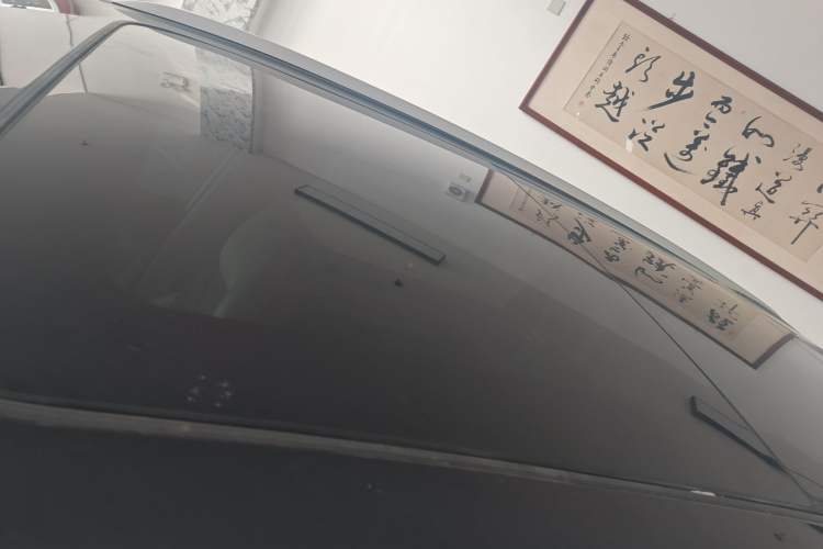 Used FORTHING Yacht 2024 1.5T DCT Guanhai Edition Roof
