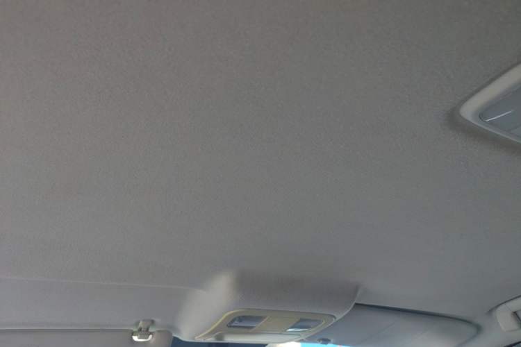Used Foton Conqueror 3 2020 2.4L Challenger 3 Two-Wheel Drive Enjoyment Version High Cargo Bed Standard Wheelbase 4K22D4M Headliner