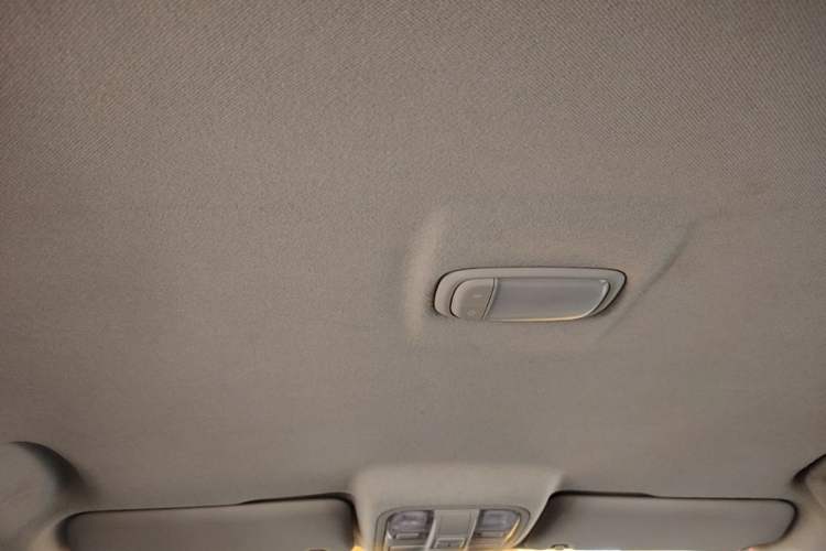 Used Foton EV 2022 National Glory Edition Multi-Purpose Truck Headliner