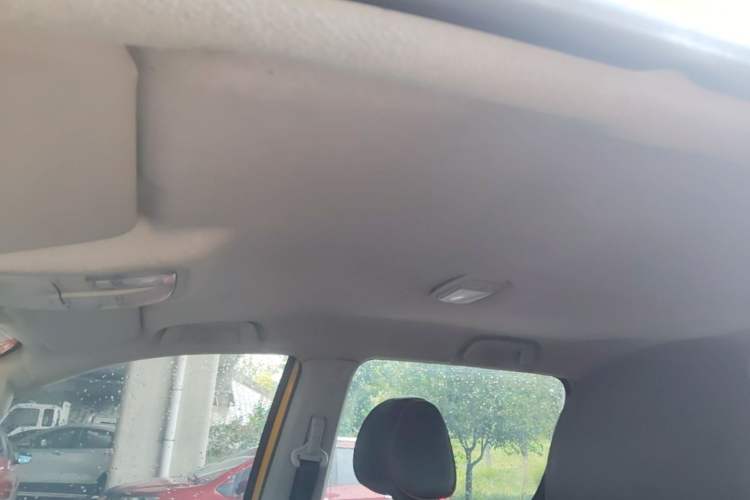 Used Foton EV 2022 National Glory Edition Multi-Purpose Truck Headliner