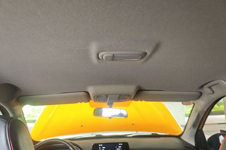 Used Foton EV 2022 National Glory Edition Multi-Purpose Truck Headliner