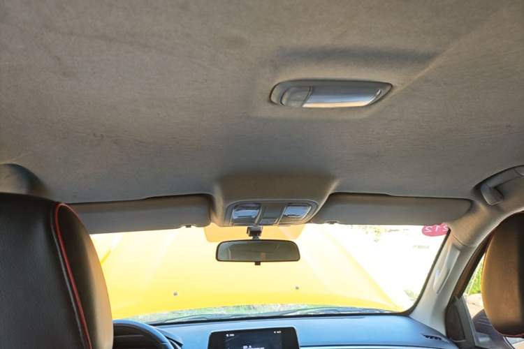 Used Foton EV 2022 National Glory Edition Multi-Purpose Truck Headliner