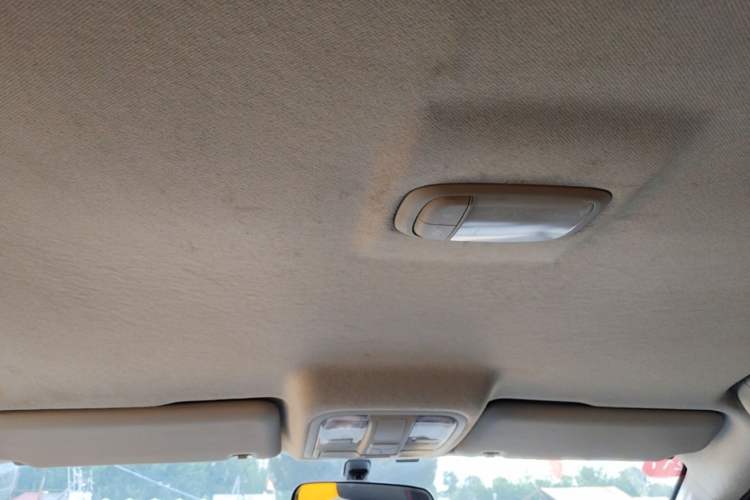 Used Foton EV 2022 National Glory Edition Multi-Purpose Truck Headliner