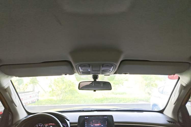 Used Foton EV 2022 National Glory Edition Multi-Purpose Truck Headliner