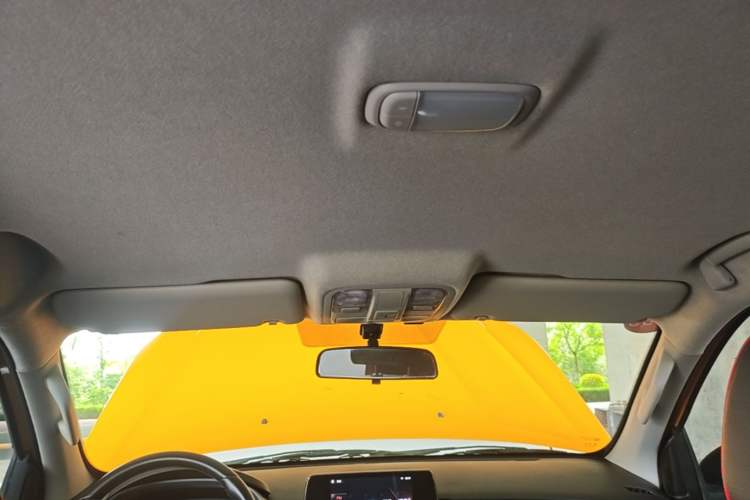 Used Foton EV 2022 Shengshi Edition Multipurpose Truck Headliner