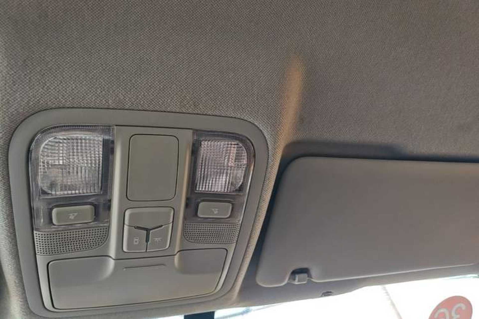 Used Foton EV 2022 National Glory Edition Multi-Purpose Truck Headliner