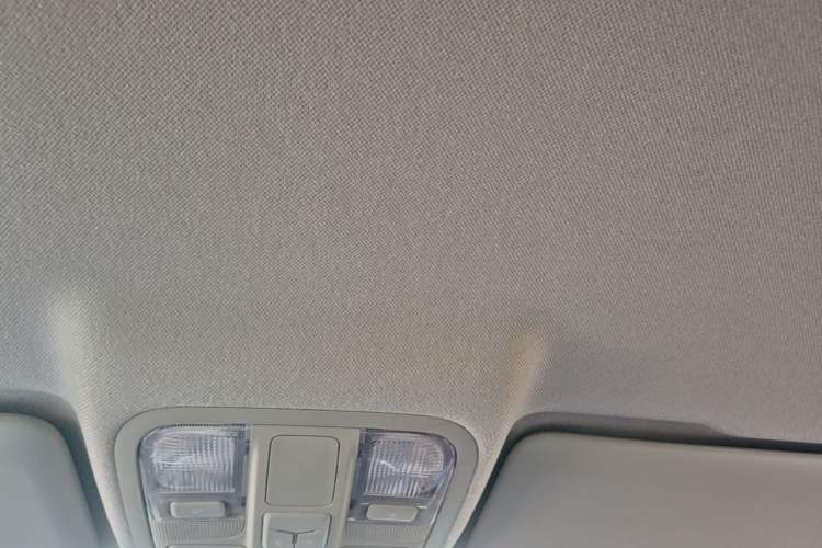 Used Foton EV 2022 National Glory Edition Multi-Purpose Truck Headliner
