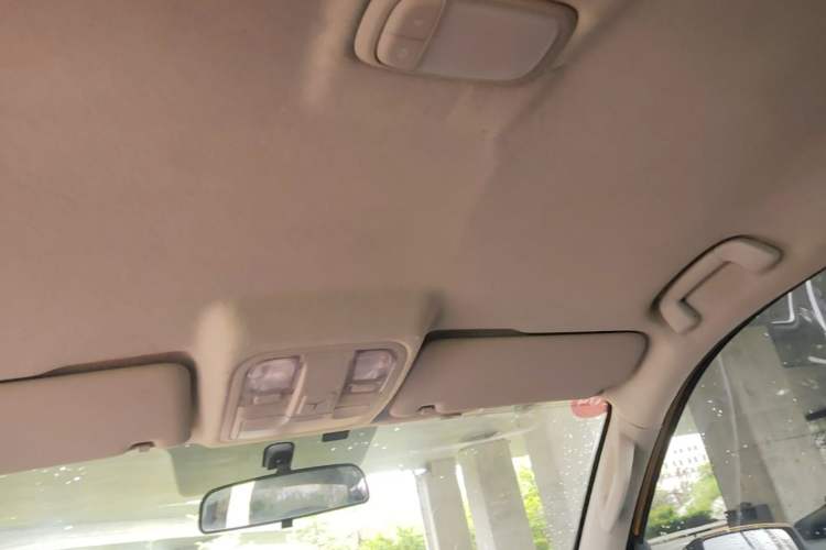 Used Foton EV 2022 National Glory Edition Multi-Purpose Truck Headliner