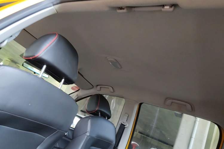 Used Foton EV 2022 National Glory Edition Multi-Purpose Truck Headliner