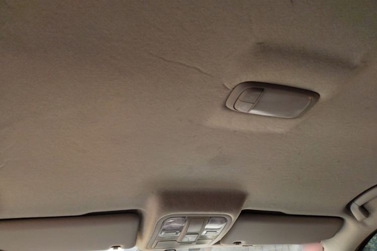 Used Foton EV 2022 National Glory Edition Multi-Purpose Truck Headliner