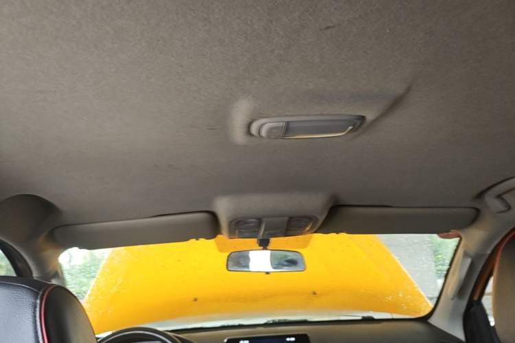 Used Foton EV 2022 National Glory Edition Multi-Purpose Truck Headliner