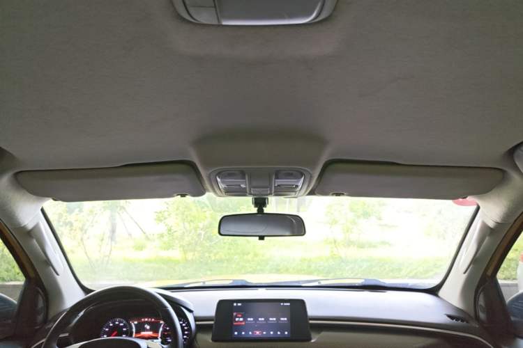 Used Foton EV 2022 National Glory Edition Multi-Purpose Truck Headliner