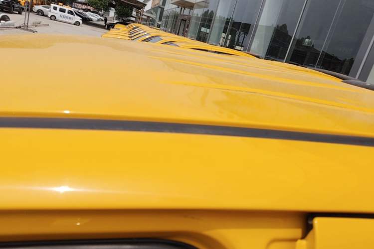 Used Foton EV 2022 National Glory Edition Multi-Purpose Truck Roof