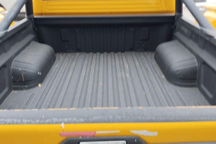 Used Foton EV 2022 National Glory Edition Multi-Purpose Truck Trunk