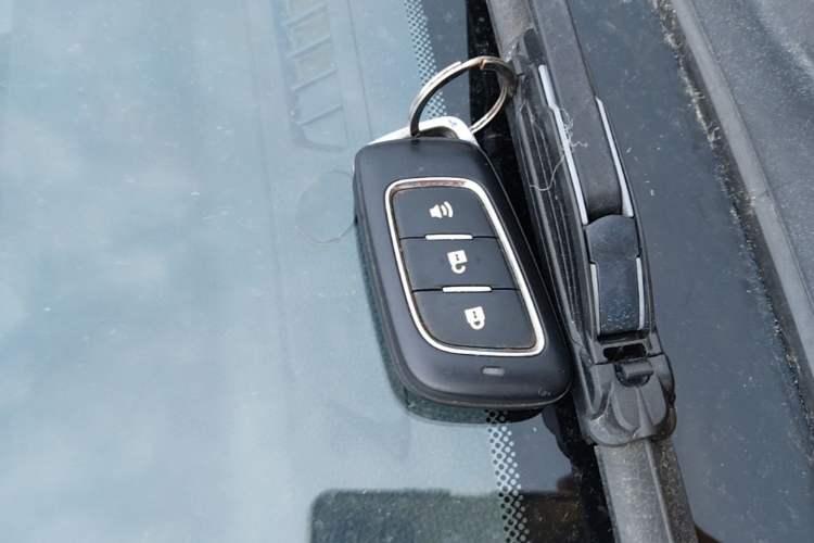 Used Foton EV 2022 National Glory Edition Multi-Purpose Truck Vehicle Key
