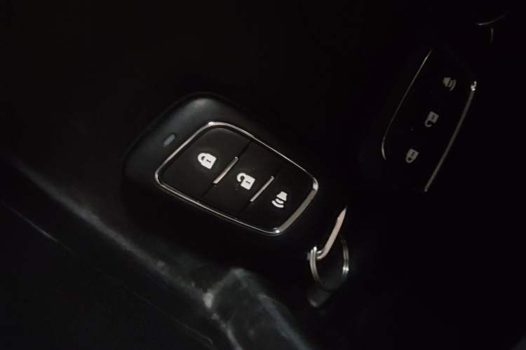 Used Foton EV 2022 National Glory Edition Multi-Purpose Truck Vehicle Key
