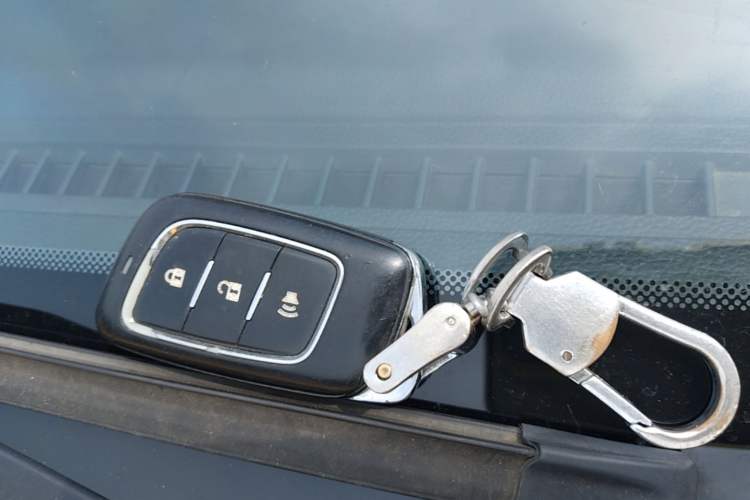 Used Foton EV 2022 National Glory Edition Multi-Purpose Truck Vehicle Key