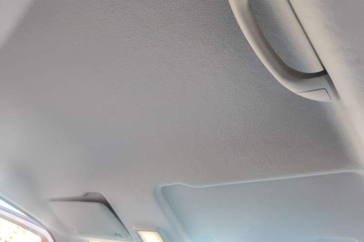 Used Foton Fengjing i9  Headliner