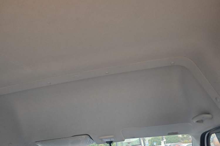 Used Foton Fengjing i9  Headliner
